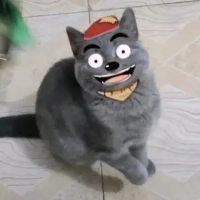 阿飞